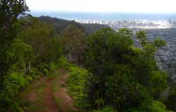 Waahila Ridge State Park, Oahu